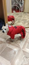 Jumpsuit Clothing Hoodies Jacket Pet-Dog-Coats Small Dogs Sport Apparel Winter Fashion