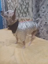 Coat Puppy Clothing Jacket Puppy-French-Bulldog Dogs Waterproof Chihuahua Winter Vest