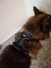 Vest Harness Pet-Dog No-Pull SUPREPET Nylon Adjustable for Large Medium