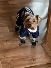 Zapatos cálidos antideslizantes para perros, botas gruesas antideslizantes para perros pequeños, gatos, Chihuahua, Yorkie, para nieve, calcetines, 4 Uds.