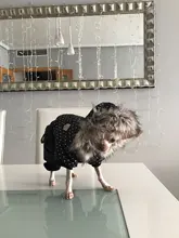 Coat Dogs-Clothing Dot-Pattern Winter Hooded Pet-Dogs New Xl To High-Quality