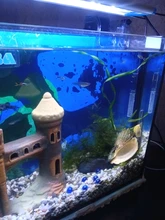 Filtro externo para acuario, bomba de agua, fabricante de cascada, máquina de configuración de oxígeno, superaccesorios