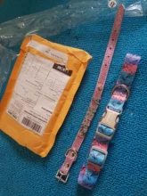 Dog-Collar Engraved Puppy-Name Floral Pet Personalized Airuidog Free Small Large Medium