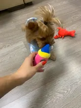 Pet-Toys Dog-Supplies Cat Plush Mini Cartoon Funny Legendog Bite-Resistant