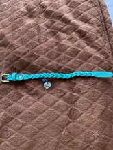 Dog-Collar Engraved Name-Tag Braided Dog Puppy Dogs Small Personalized Free-Bell 