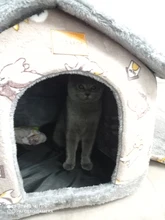 Bed-Mat Basket Kennel Sofa Pet-Products Dog-House Cat-Nest Puppy Cave Dogs Foldable Small