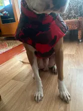 Vest Coat Jacket Pet-Dog-Clothes French-Bulldog-Pet Dogs Small Waterproof Large Winter