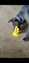 Morder resistente cepillo Dental para perro mascotas Molar limpieza cepillado Stick juguete de perro mordedores de juguete para perros perro cachorro Dental, suministros para mascotas