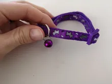 Collar de policarbonato para perros, hebillas ajustables con campana, correa para el cuello, suministros para mascotas, accesorios para perros pequeños, Chihuahua, Bulldogs, 1 unidad