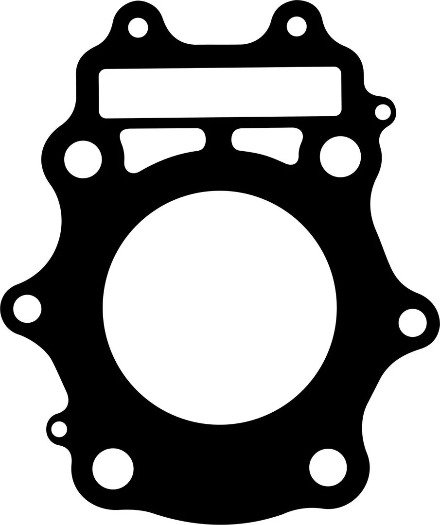 Прокладка ГБЦ Suzuki DR 250 (11141-15D01-000) |