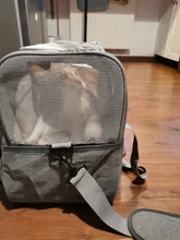 Dog-Carrier-Bags Airline Pet-Cat-Dog-Backpack Portable Cats Small Dog for Approved