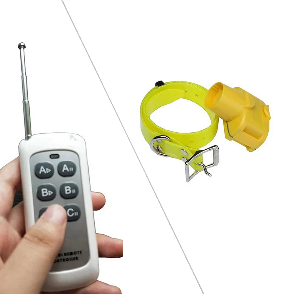 

Separately Sold Transmitter Or Receiver Collar in D100B Model 100g2280