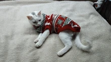 Pullover Pet-Clothing Puppy-Jacket Cat-Dog-Sweater Christmas Winter for Small Dogs Chihuahua