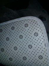 Floor-Mats Kitchen-Carpets Bathroom Welcome Anti-Slip Animal Cat Kawaii Living-Room Cat-Printed