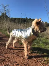 Jacket Coat Vest Pet-Dog Dogs Chihuahua Waterproof Winter Large for Big Autumn Warm Clothing-For-Dogs