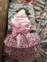 Cat Dress Shirt Summer Pet-Puppy Spring Small Dog Stars-Design Bow 2-Colours Apparel
