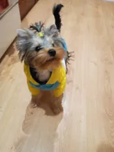 Outfit Jacket Hoodie Dog Warm Waterproof Winter Coat Splice Pet-Puppy 6-Colours 8-Sizes