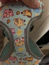 Arnés para perro o gato reflectante personalizado, chaleco para mascota, conjunto de correa ajustable para caminar para cachorro, perros medianos y pequeños, suministros para mascotas Chihuahua