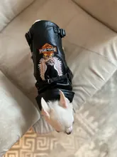 Jacket Dog-Coat Puppy Eagle-Pattern Waterproof Outdoor Outerwear Pet Small Soft Fashion