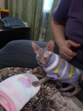 Antumn-ropa de invierno para gatos abrigo de suéter Katten para perros, disfraz de gato para perros pequeños, Chihuahua, Pugs, Bulldog francés