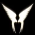 AngelOfLife_2 Store