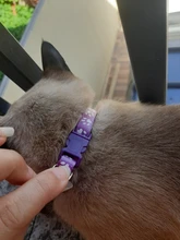 Collier-Collar para gatos con estampado de pata, correa de nailon ajustable para el cuello, para gatos