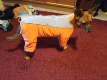 Winter Overalls for Dogs Warm Waterproof Pet Jumpsuit Trousers Male/ Female Dog Reflective