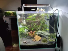 Led-Lighting Aquarium Chihiros Fish-Tank Aquatic-Plant Sunsun Ade Nicrew SMD 18W 220V