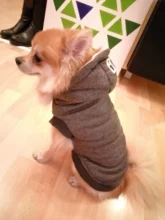 Pet-Dog-Clothes Jackets Coat Pets-Products Puppy-Cat-Clothing Pug-Outfits Small Dogs