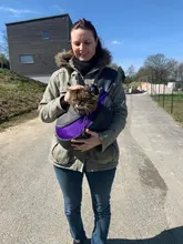 Bag Carrier Handbag Tote-Pouch Sling Puppy Pet-Dog-Cat-Sling Travel-Safe Outdoor Kitten