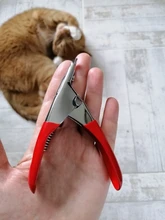 Cortaúñas para mascotas, cortauñas para perros, cortaúñas para gatos de acero inoxidable, tijeras para garras de Animal cortado