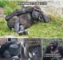 ENCHEN-cortadora de pelo eléctrica para hombres y niños, máquina de corte de pelo sin cable recargable por USB, con peine ajustable, Original