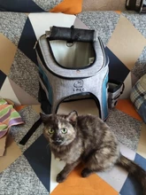 Pet-Carrier-Bag Cat-Backpack Cat Travel Shoulder-Bag Pet-Supplies Cats Dogs Small Outdoor