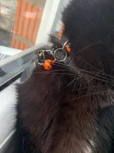Collares con campanas para gatos de 18 colores, hebillas de nailon ajustables, Collar reflectante para mascotas, diseño de cabeza de gato, suministros para accesorios