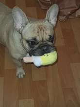 Dog Toys Plush Pet Dog Toys for Dogs Puppy Squeaker Sound Toy Jouet Chien Funny Fruit