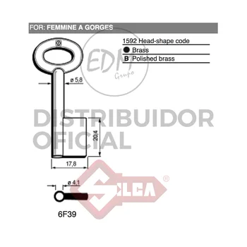 

Shiny LATON Gorge key 6F39 MASCHI-FEMMINE