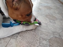 Encantador suministro de mascotas lindo Papa pato perro de peluche de juguete con cuerda de juguetes para perro nuevo