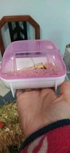 Hamster Bathroom Sauna Room Pet Small Animals Rabbit Chinchilla Toilets Cleaning L4MB