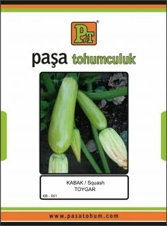 

KABAK TOHUMU - TOYGAR 25 GR