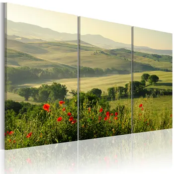 

Table-poppies on the hills of Tuscany-120x80