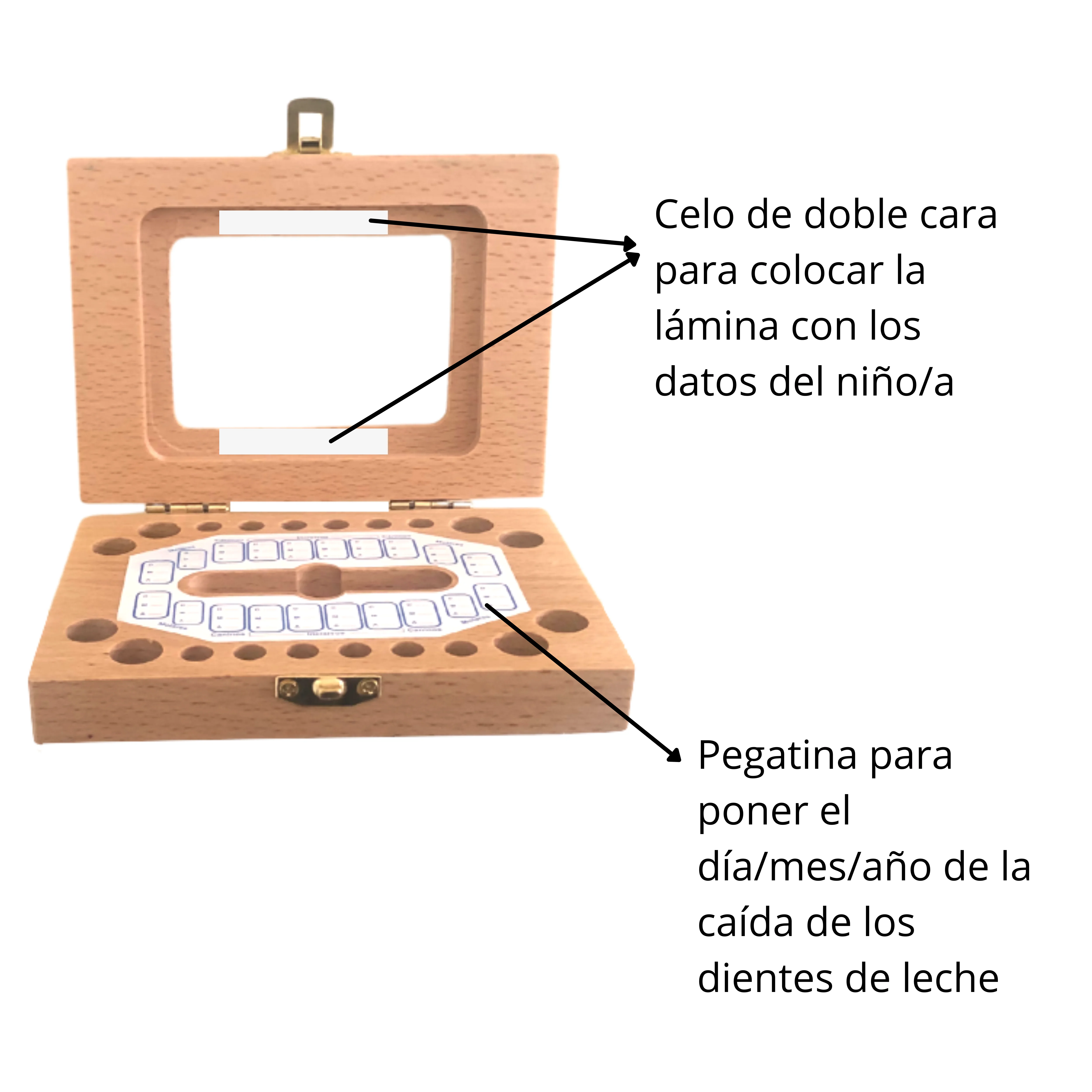 Caja para Dientes Ratoncito Perez - Guarda dientes infantiles Niños  mayorista