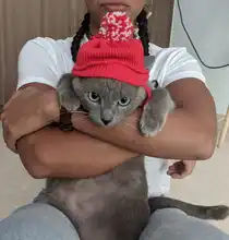 Pet Dog Cat Costume Christmas Antlers Hat Cloak Halloween Disguise Clothes For Cats Small