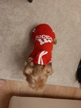 Pet Dog Clothes Fashion Hoodie Spring and Summer For Dogs Coat Jacket Cotton Ropa Perro