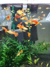 Fish-Food Shelling-Eggs Brine Shrimp Artemia Aquarium Tropic Feeding Baby for New 150ml