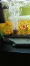 Bomba de aire, de oxígeno USB para acuario, suministros de ahorro de energía silencioso, Mini terrario acuático portátil, Accesorios para tanque de peces