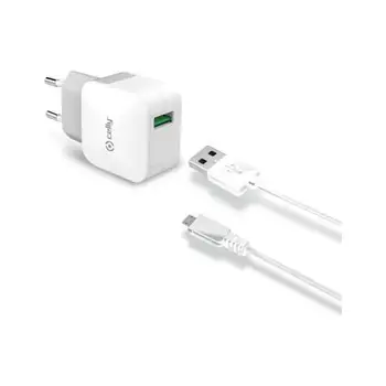 

Universal USB travel charger color BiancoCELLY13.91