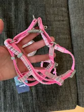 Leash-Set Pet-Products Dog-Harness Dogs Adjustable Small Chihuahua Walking Nylon And