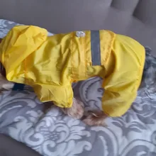 Dog Costumes Rain-Coat Waterproof Jacket Puppy Pet-Dog 4-Color Pet-Supplies XS-XXL Hot