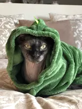 Monos de lana para perros, ropa de invierno para mascotas, ropa de Navidad para perro, gato suave, ropa de Cosplay para Chihuahua, ropa de Yorkshire