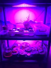 Light-Panel Growth-Light Phyto-Lamp Tent-Plants AC85-240V Eu/Us-Plug 1000w Led Full-Spectrum